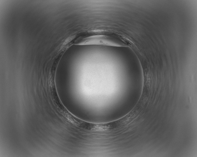 X0000060220617200510281109
