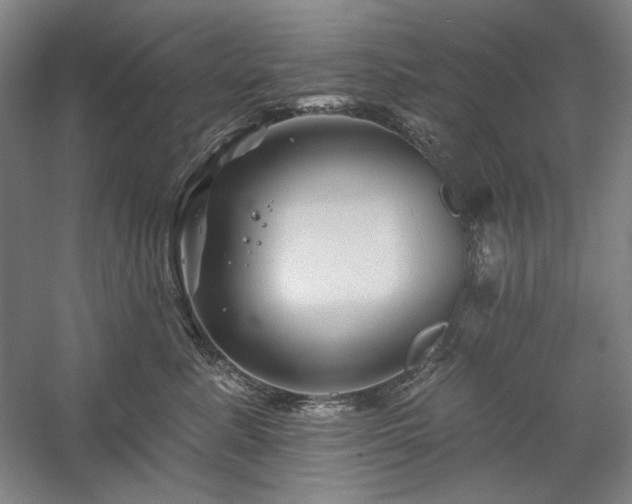 X0000060220619200510281109