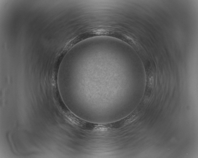 X0000060220620200510281109