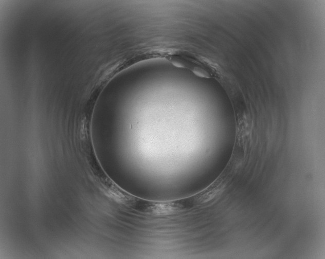 X0000060220623200510281109