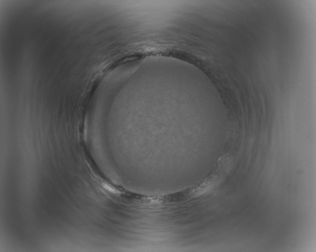 X0000060220624200510281109
