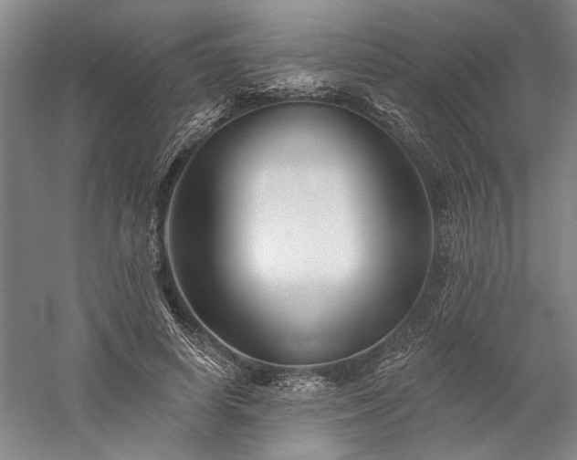 X0000060220642200510281109