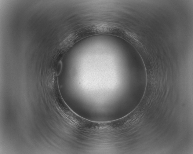 X0000060220645200510281109