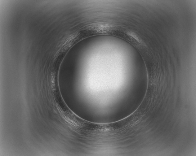 X0000060220646200510281109