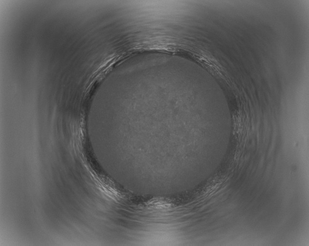 X0000060220648200510281109