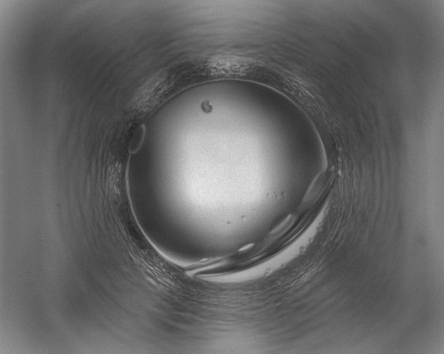 X0000060220649200510281109
