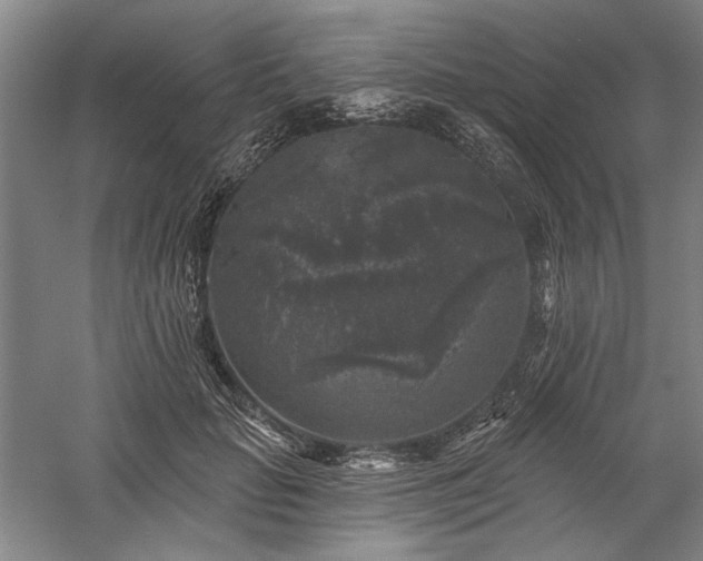 X0000060220653200510281109