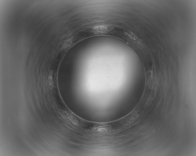 X0000060220655200510281109