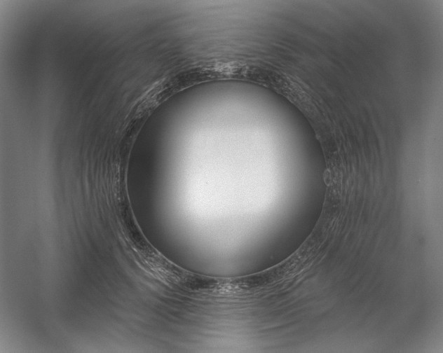 X0000060220656200510281109