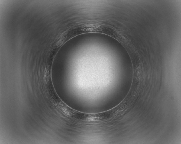 X0000060220657200510281109