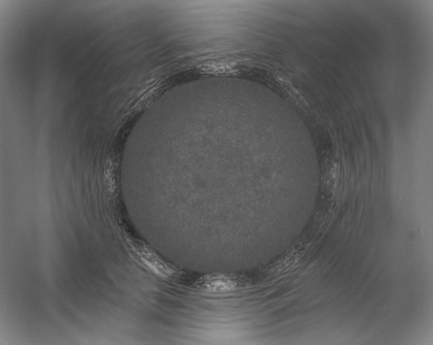 X0000060220658200510281109