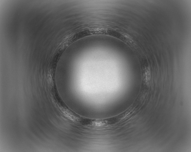 X0000060220662200510281109