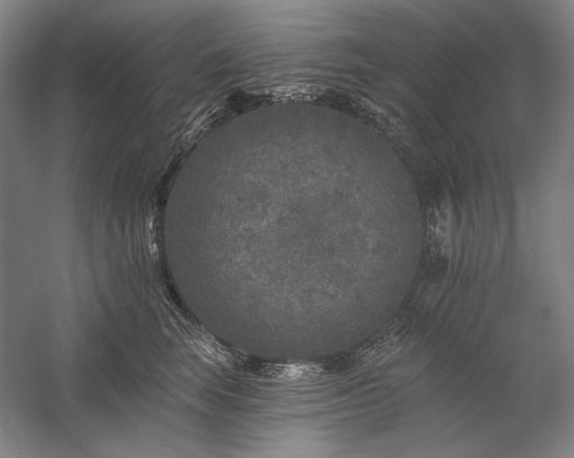 X0000060220663200510281109