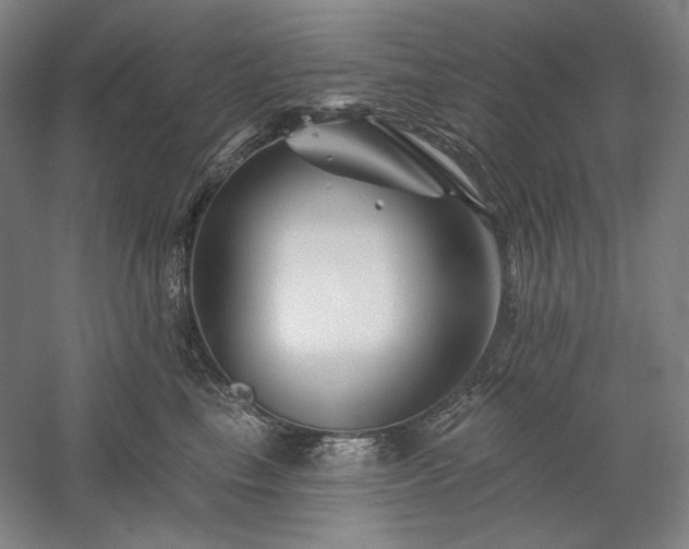 X0000060220665200510281109