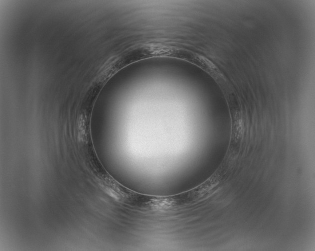 X0000060220667200510281109