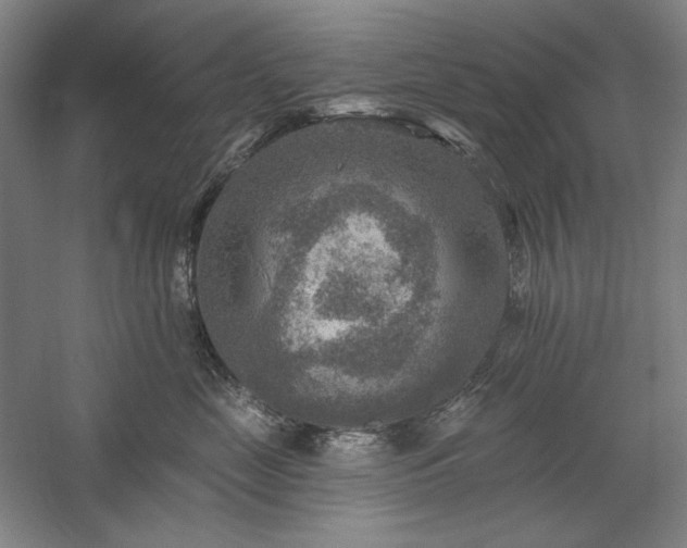 X0000060220669200510281109