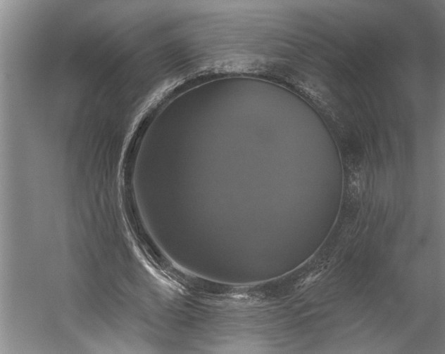 X0000060220678200510281108