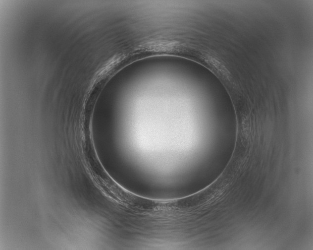 X0000060220682200510281108