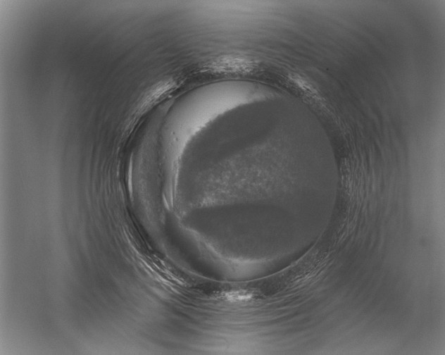 X0000060220692200510281108
