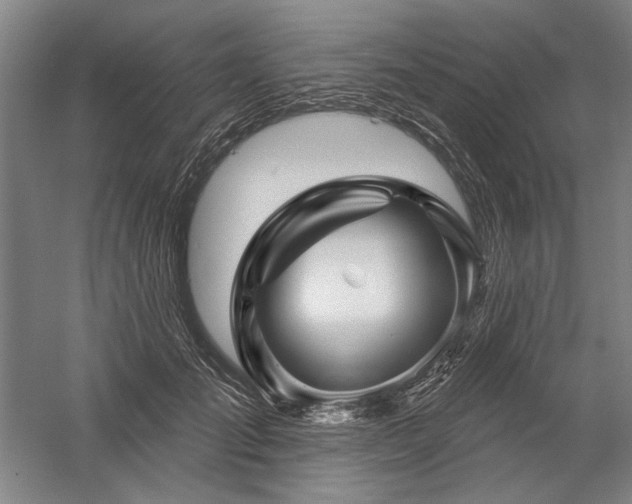 X0000060220701200510281108
