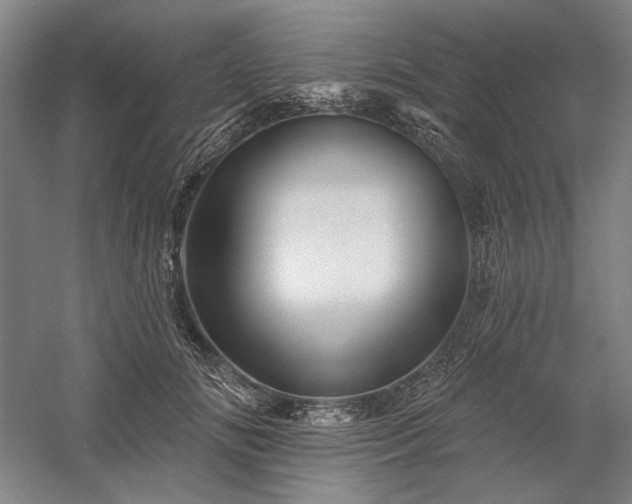 X0000060220702200510281108