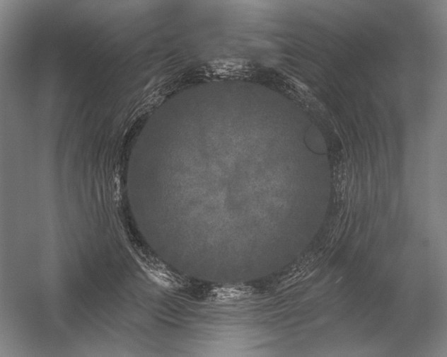 X0000060220703200510281108