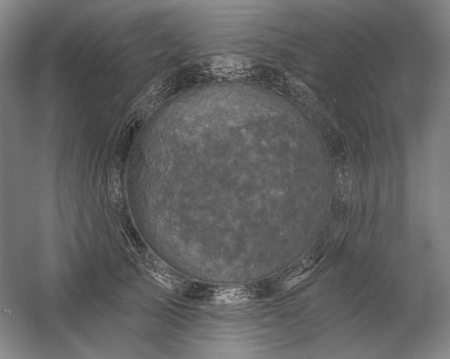 X0000060220705200510281108