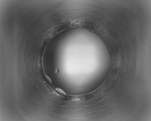 X0000060220706200510281108