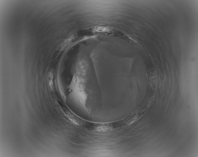 X0000060220708200510281108