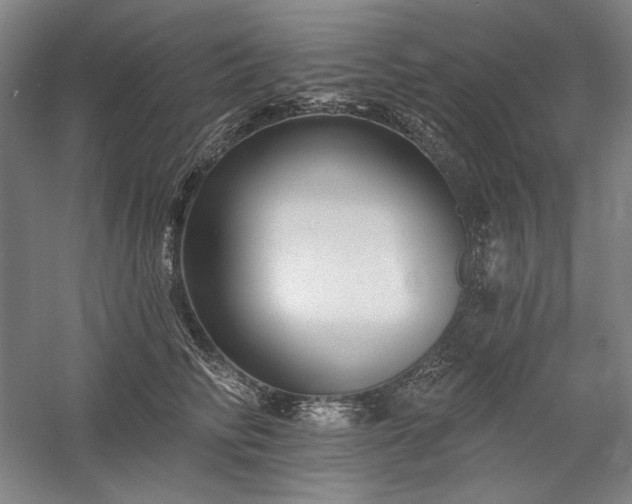 X0000060220710200510281108