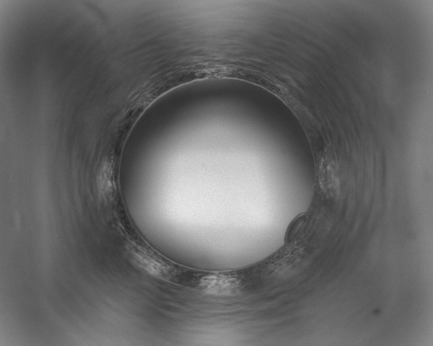 X0000060220714200510281108