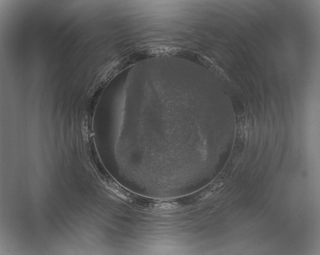 X0000060220716200510281108