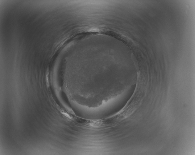 X0000060220720200510281108