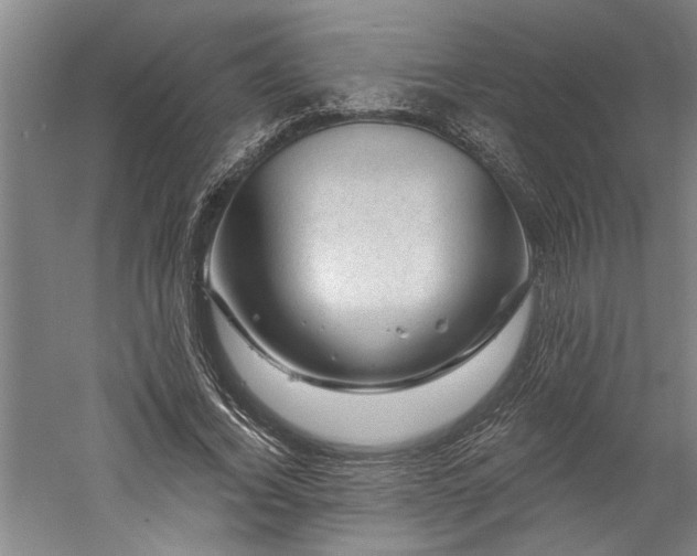 X0000060220732200510281107
