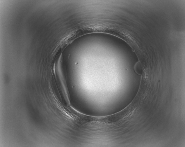 X0000060220733200510281107