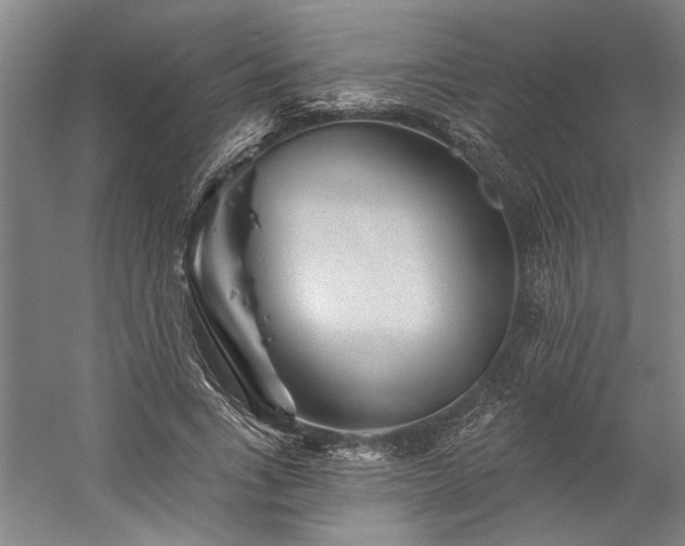 X0000060220735200510281107
