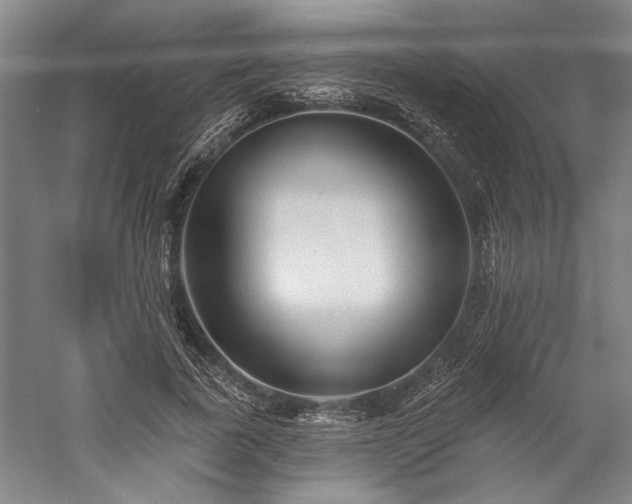 X0000060220739200510281107