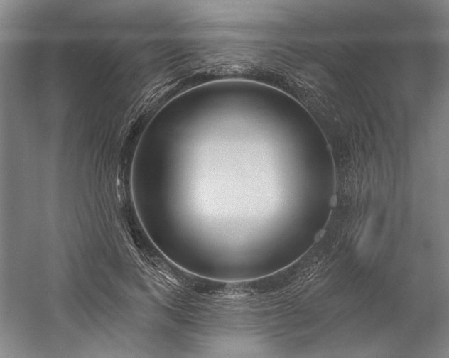 X0000060220743200510281107