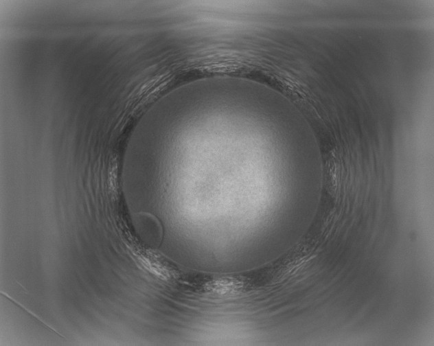 X0000060220745200510281107