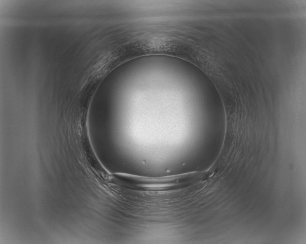 X0000060220746200510281107