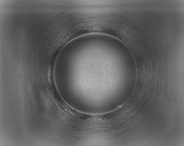 X0000060220747200510281107