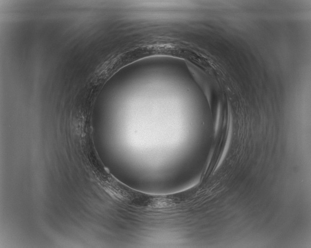 X0000060220750200510281107