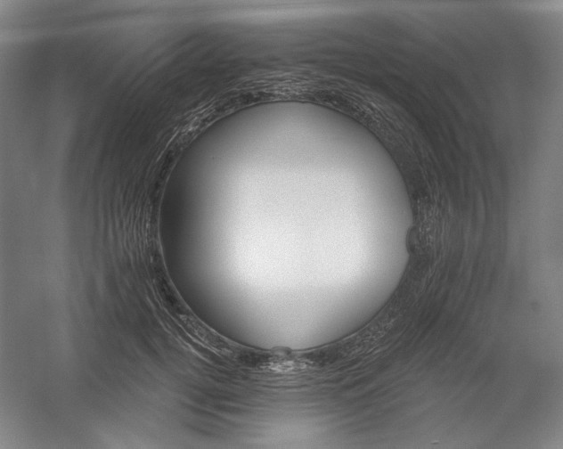 X0000060220752200510281107