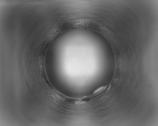 X0000060220753200510281107