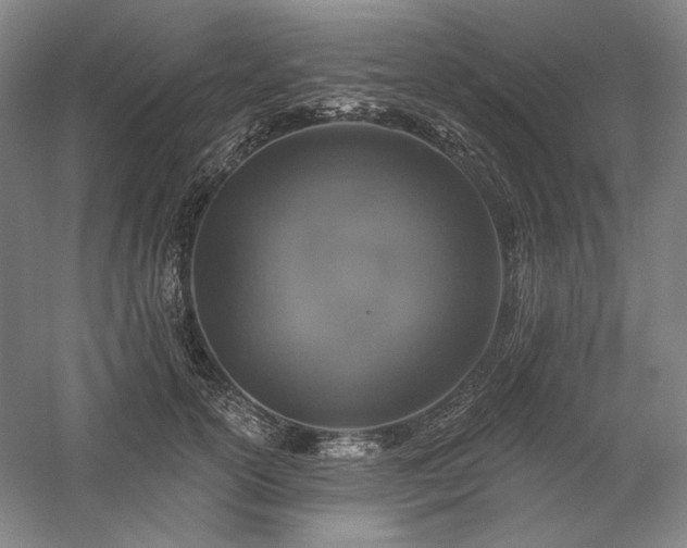 X0000060220754200510281107