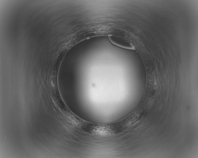 X0000060220755200510281107