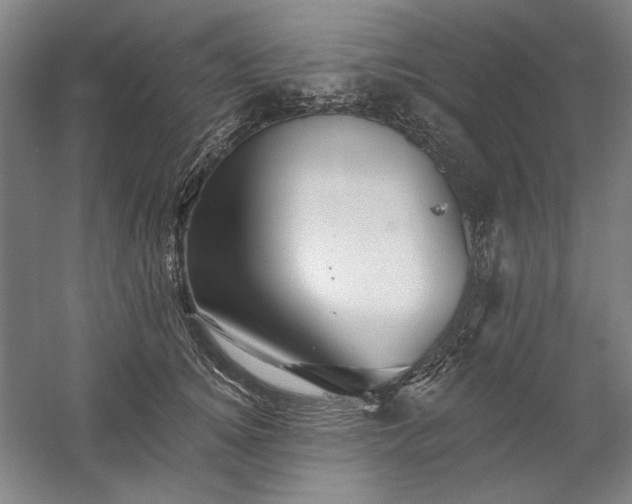 X0000060220756200510281107