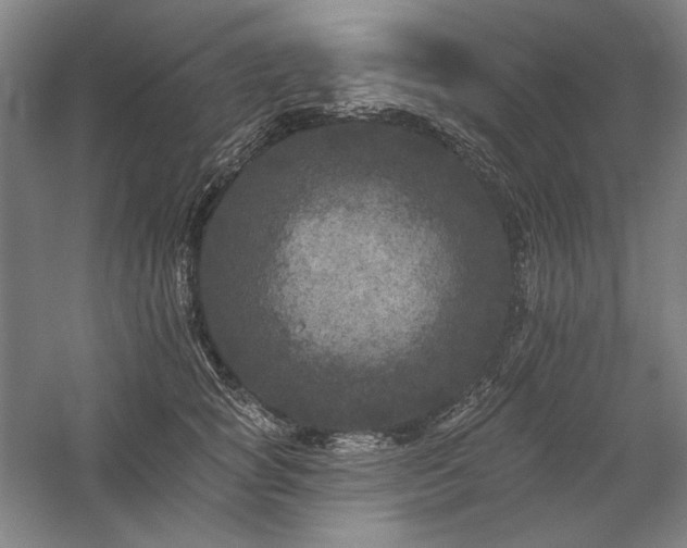 X0000060220757200510281107