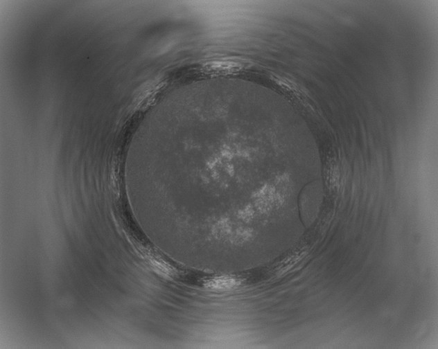 X0000060220759200510281107