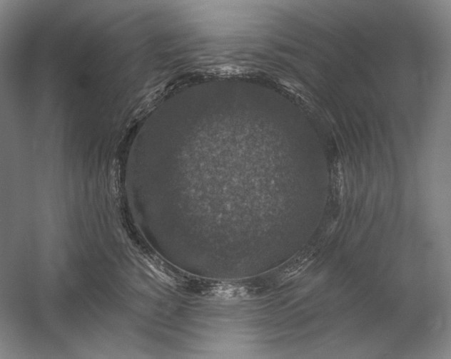 X0000060220760200510281107